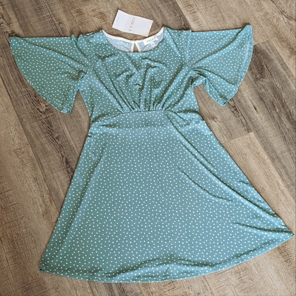 Gilli Sage with Polkadot Shift Mini Dress - Picture 5 of 6